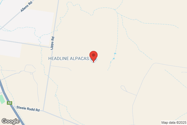 Headline Alpacas