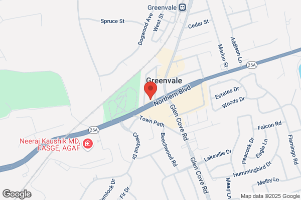 Greenvale Village Pharmacy