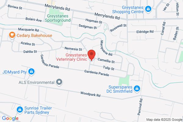 Greystanes Veterinary Clinic