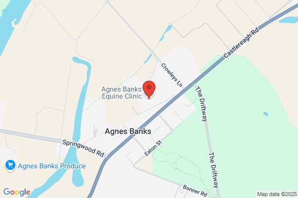 Agnes Banks Equine Clinic