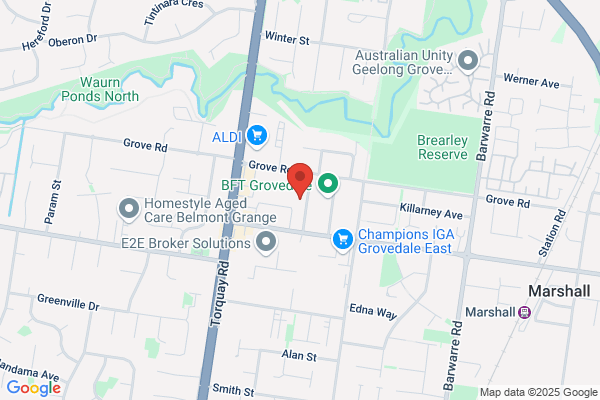 Geelong Tune-Up Specialists