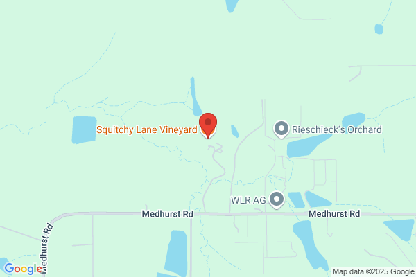 Briarty Hill Vineyard
