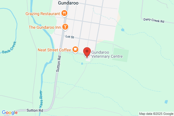 Gundaroo South Veterinary Clinic