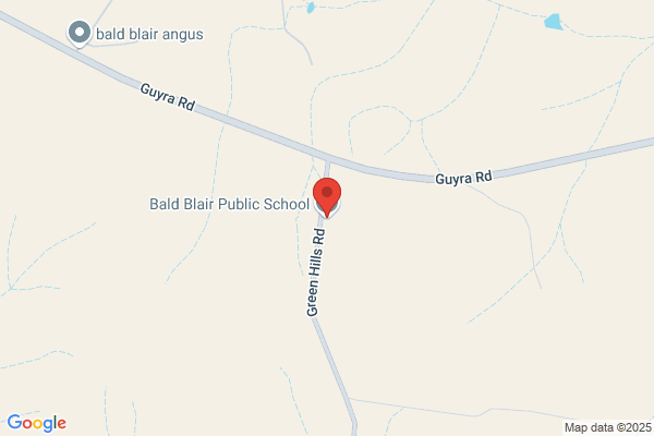 Bald Blair Public School