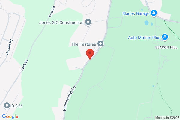 Beaconsfield Tree Services