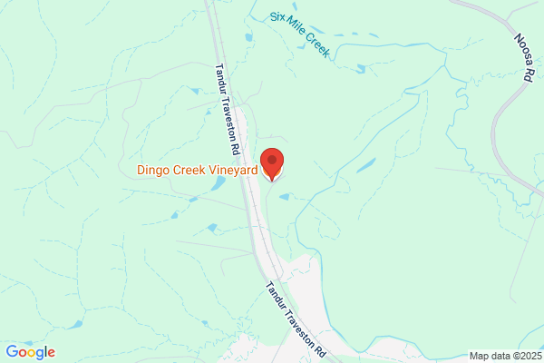 Gympie Dingo