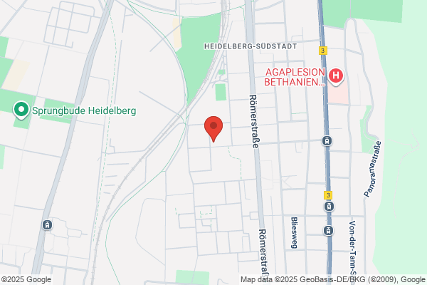 Heidelberg Cakes