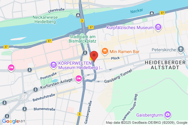Heidelberg Cakes