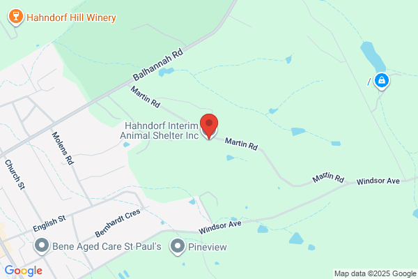 Hahndorf Interim Animal Shelter Inc.