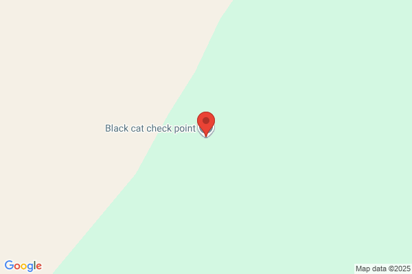 Black Cat