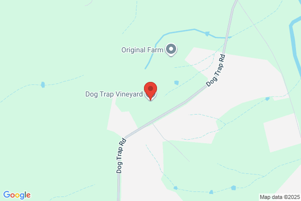 Dog Trap Design