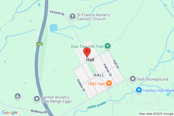 Hall Veterinary Surgery