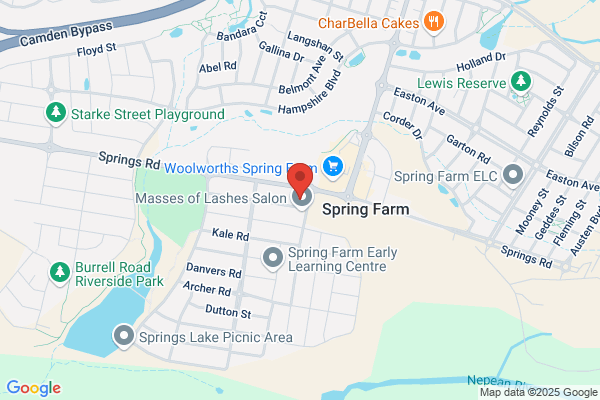 Kids Academy Spring Hill