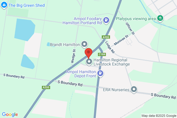 Hamilton Discount Windscreens