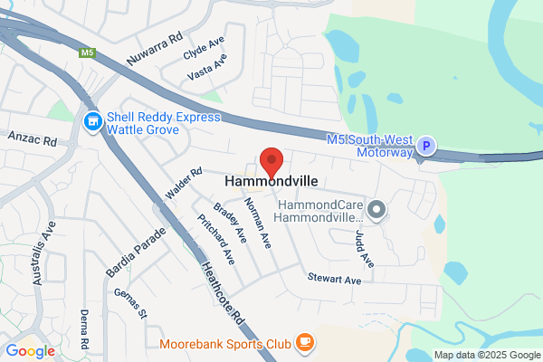 Cat The