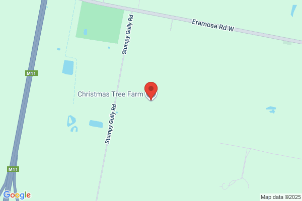 Choose & Cut Xmas Tree Farms
