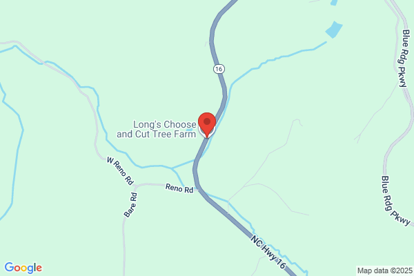Choose & Cut Xmas Tree Farms