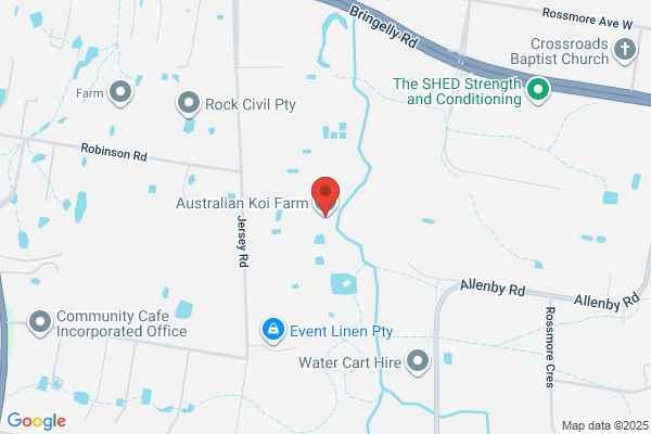 Kidfish Australia