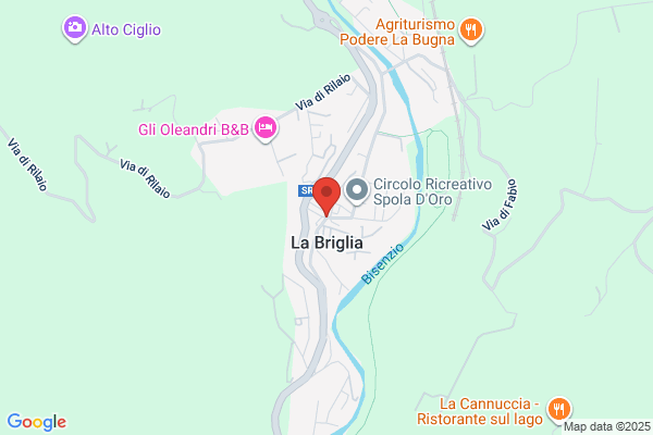 Briglia & Co