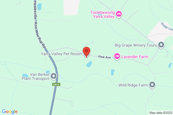 Yarra Valley Pet Resort