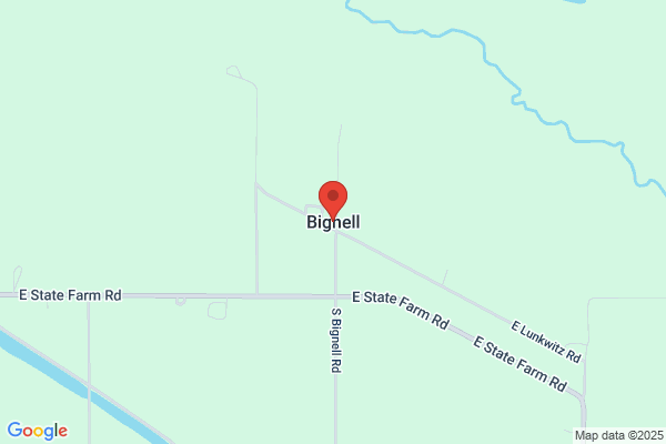 Bignell, Dr Bernie