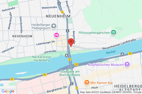 Heidelberg Neuropsychological Group