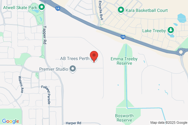 A A1 Abernethy Tree Services