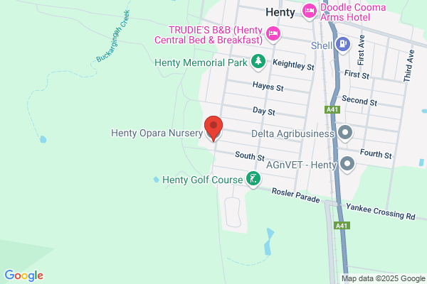Henty Opara Nursery