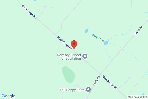 Equestrian Synergy
