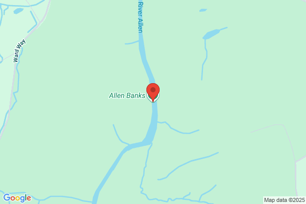 Allen Will