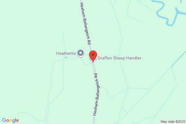 Draffen Sheep Handler