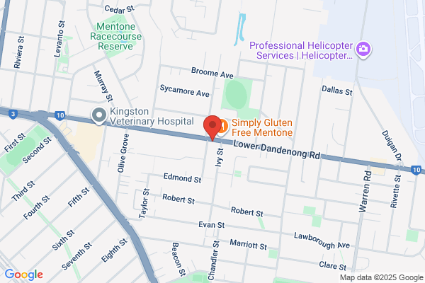 Synergy Dental Group - Dentist Parkdale