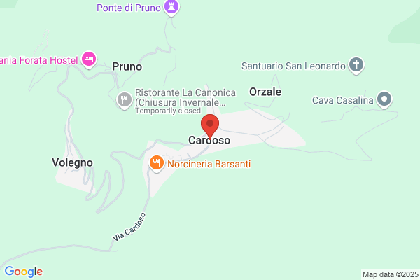 Cardoso C P