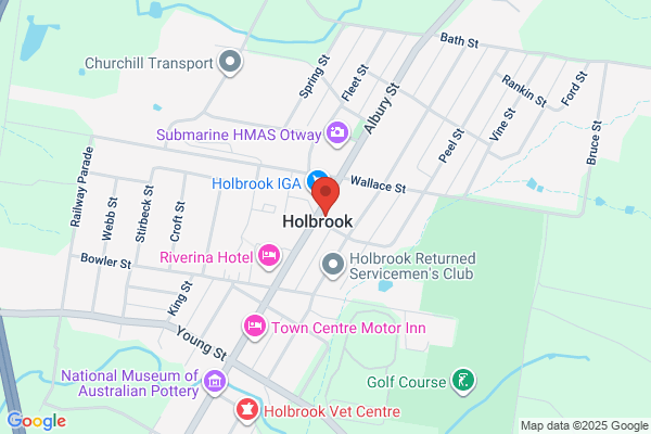 Holbrook Skye Motel