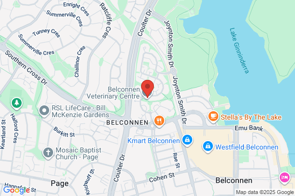 ACT Animal Hospital & Clinic