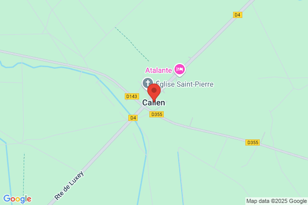 Callen D W