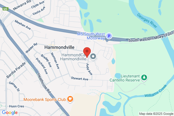 Ironbark Social Club - Respite Care