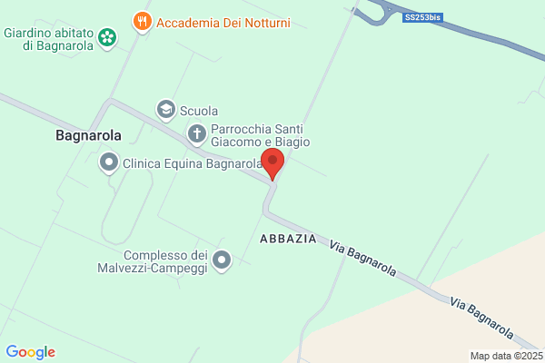 Burattinis