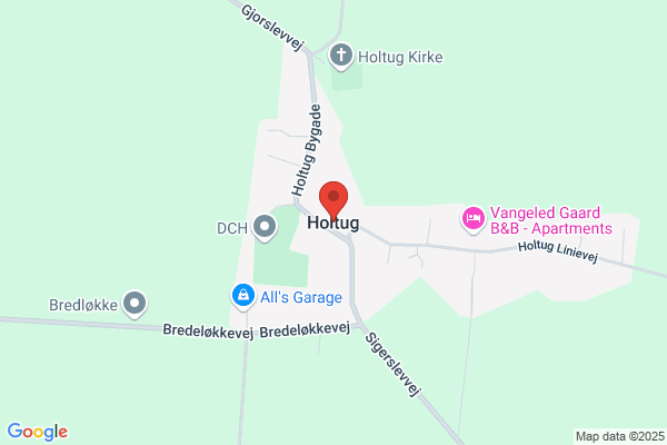 HoltIGA