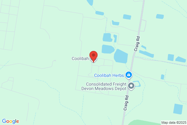 Coolibah Salad