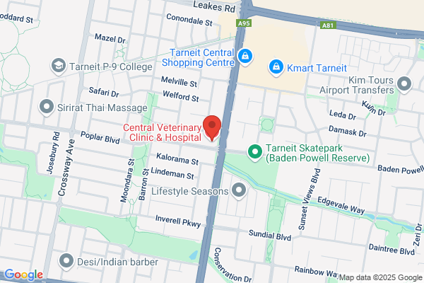 Central Veterinary Clinic & Hospital