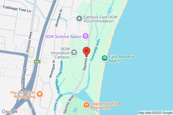 Illawarra Dingo Services