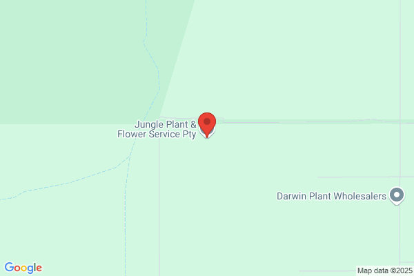 Jungle Plant & Flower Service
