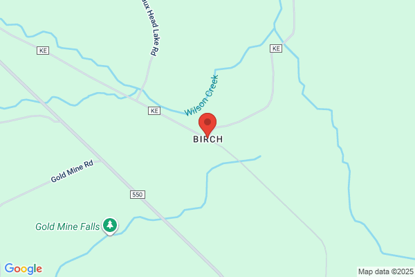 Birch W J & Mitchell R H