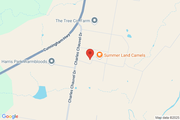 Australian Camel Farm