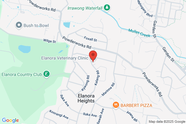 Elanora vet clinic