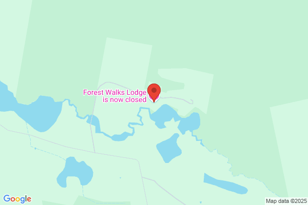Forest Walks Lodge