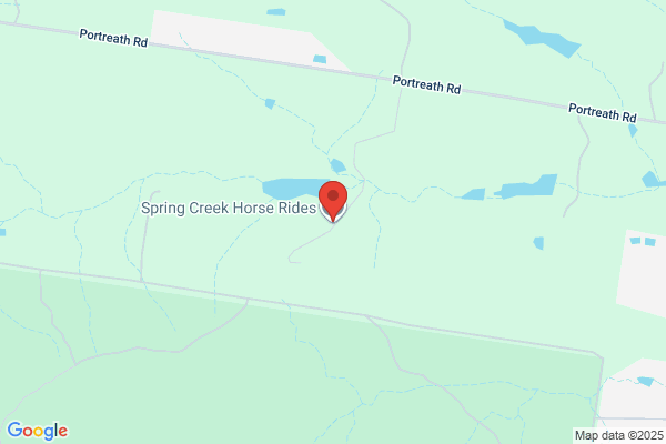 Bells Beach Horse Riding