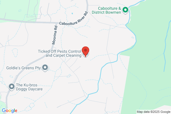 Aust-Dry Carpet Dry Cleaning & Pest Control