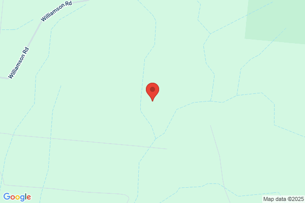 Australian Insect Farm